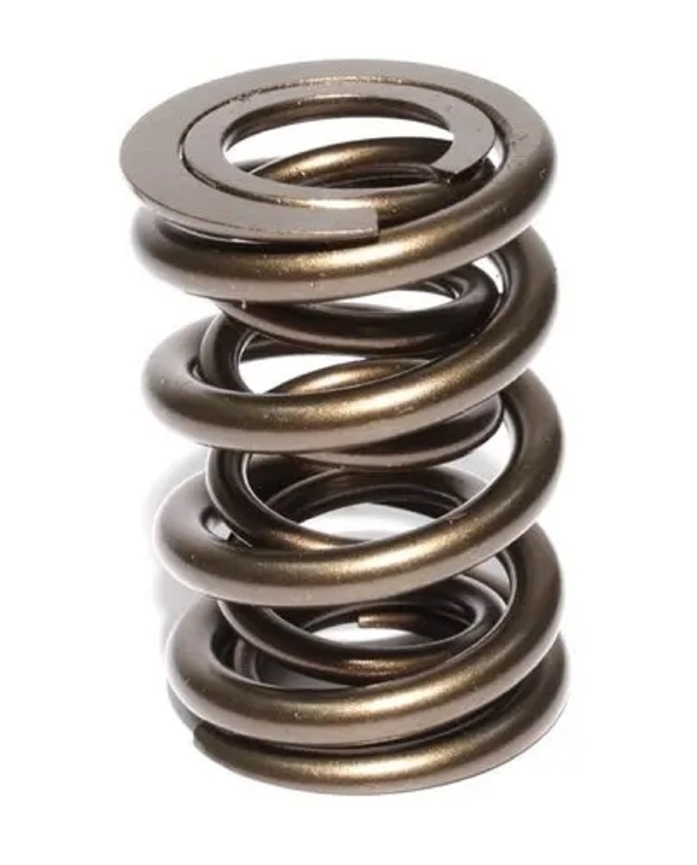 Inner Outer Springs